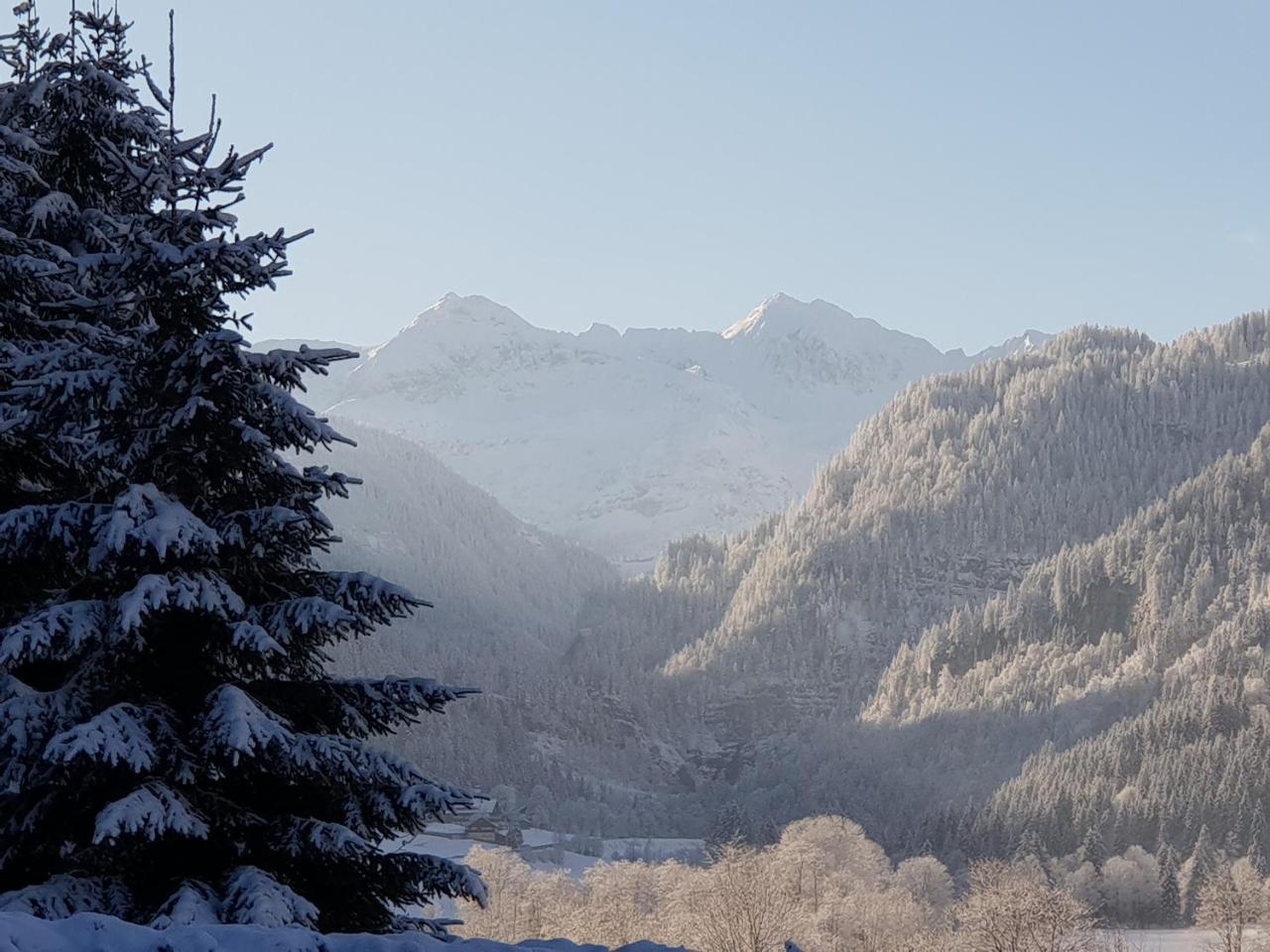Ferienhaus Pöttler Untertauern Exterior foto