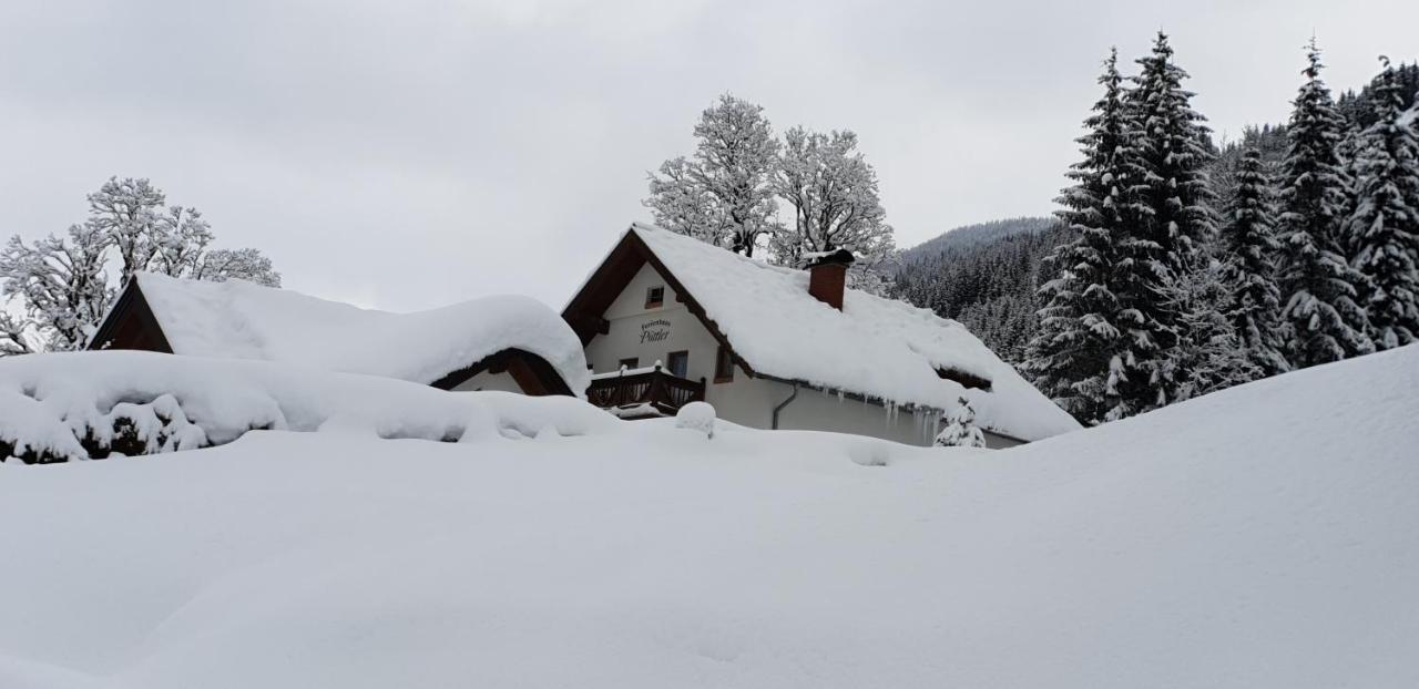 Ferienhaus Pöttler Untertauern Exterior foto